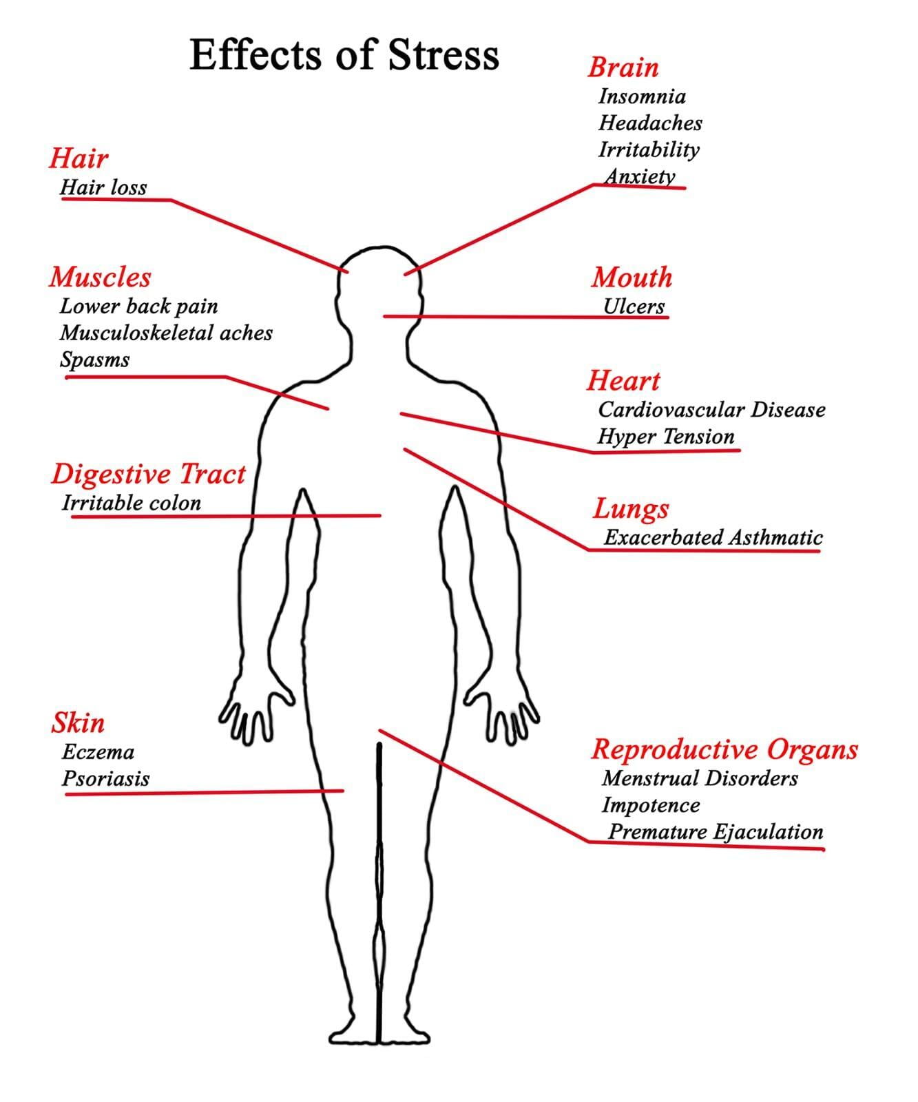 Stress and Your Body